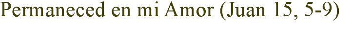 Permaneced en mi Amor (Juan 15, 5-9)